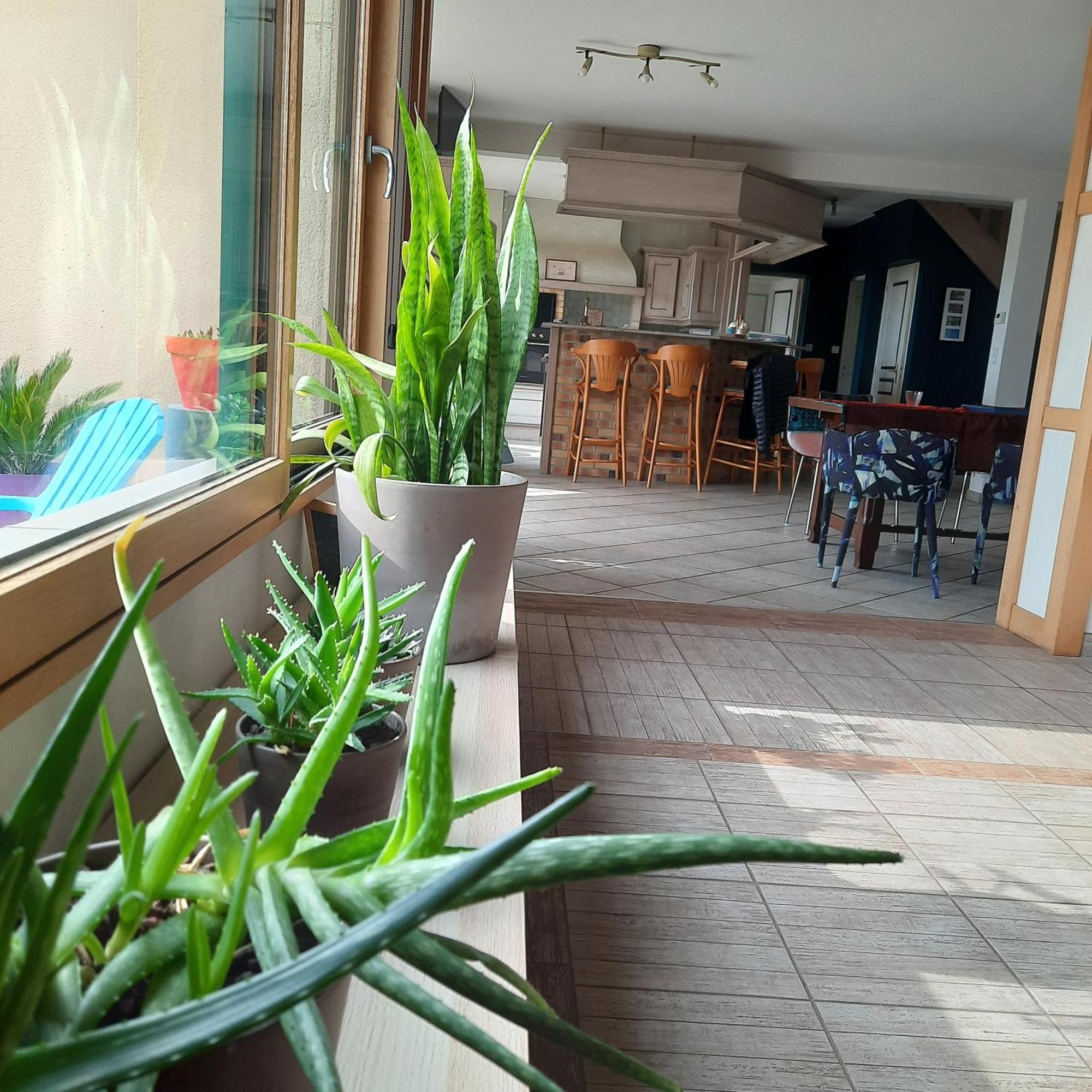Magnifique Villa Avec Piscine Interieure Saint-Pois Екстериор снимка